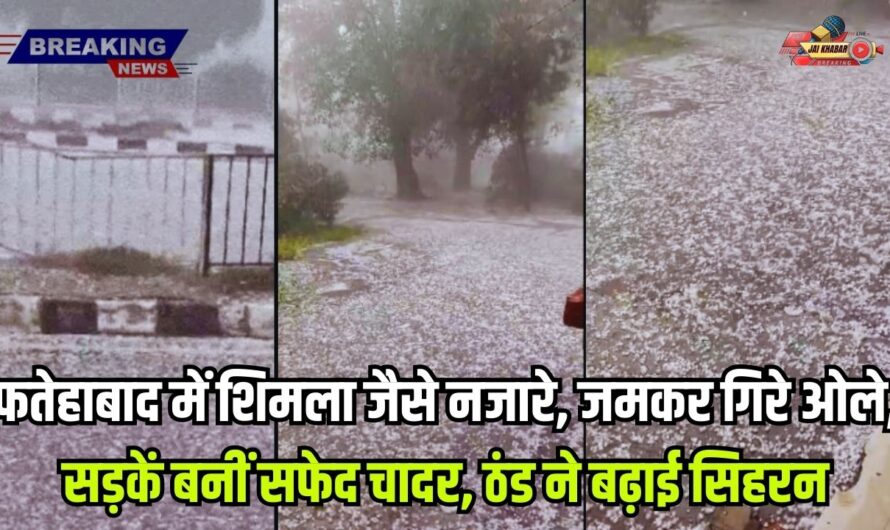 Fatehabad Weather Today: फतेहाबाद में शिमला जैसे नजारे, जमकर गिरे ओले, सड़कें बनीं सफेद चादर, ठंड ने बढ़ाई सिहरन