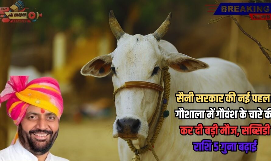 Haryana Khabar: सैनी सरकार की नई पहल। गौशाला में गौवंश के चारे की कर दी बड़ी मौज, सब्सिडी राशि 5 गुना बढ़ाई