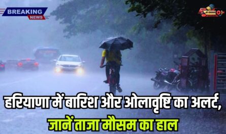 Rain-hail in haryana: