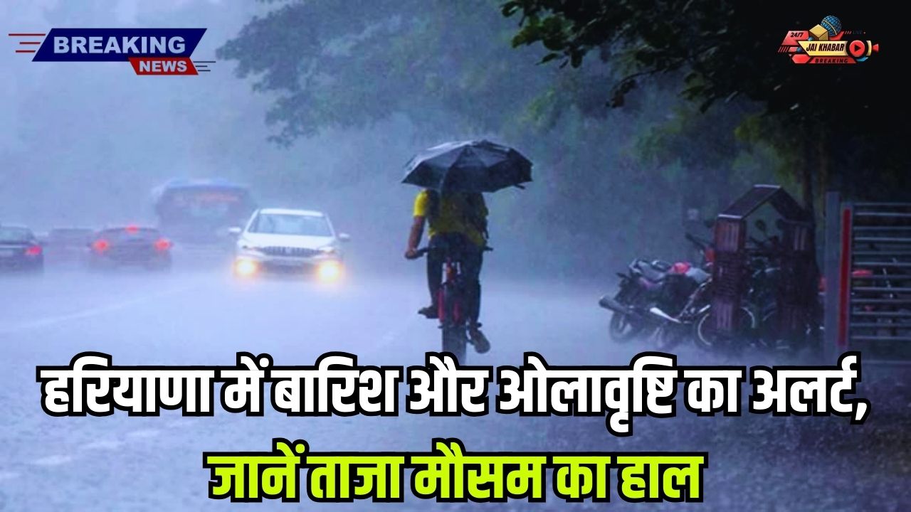 Rain-hail in haryana: